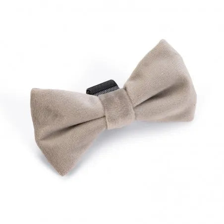 Nœud papillon en velours ZAZA