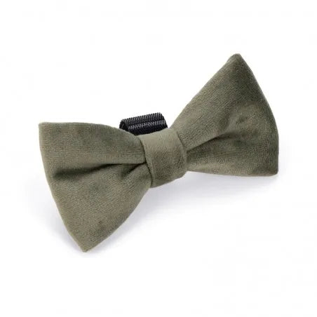 Nœud papillon en velours ZAZA