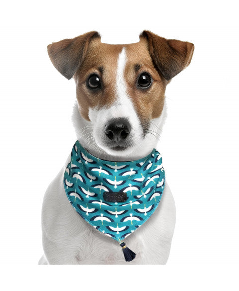 Bandana Diego