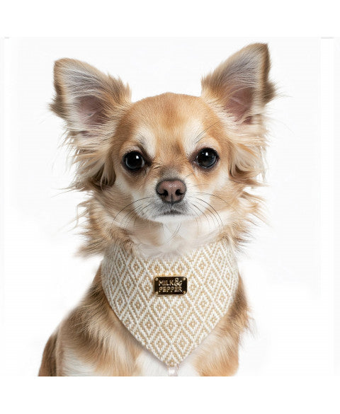 Bandana Jabali
