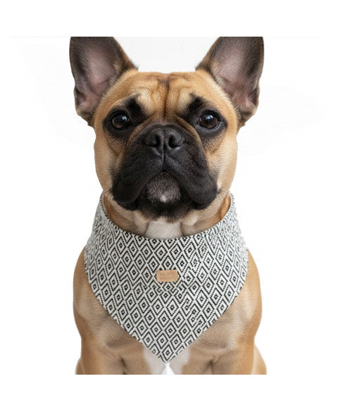Bandana Jabali