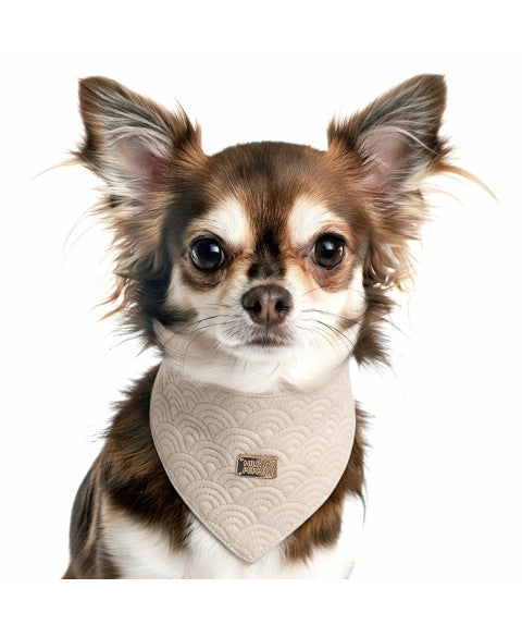 Bandana Kimi