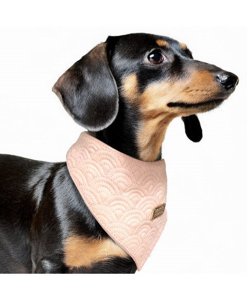 Bandana Kimi