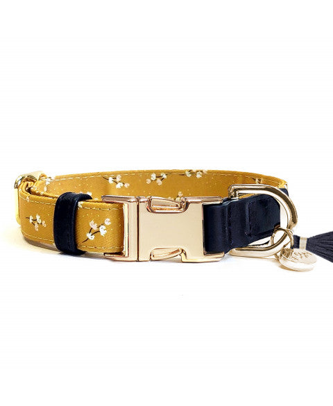 Collier Réglable July