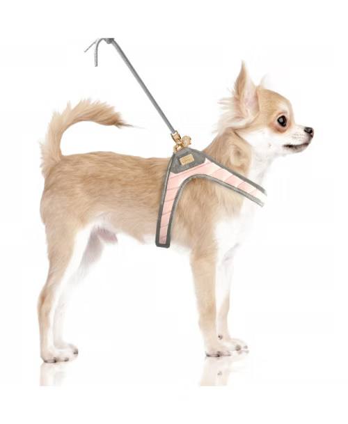 Harnais Slings Coline