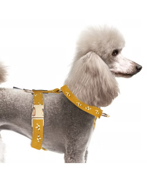 Harnais Starps July
