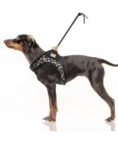 Harnais Slings Thalia