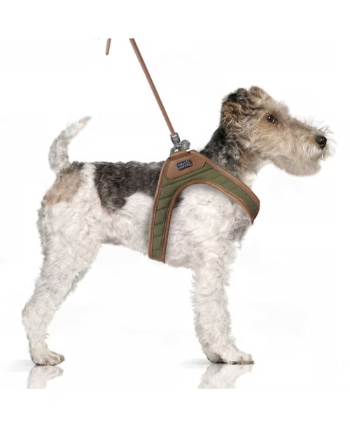 Harnais Slings Gabin